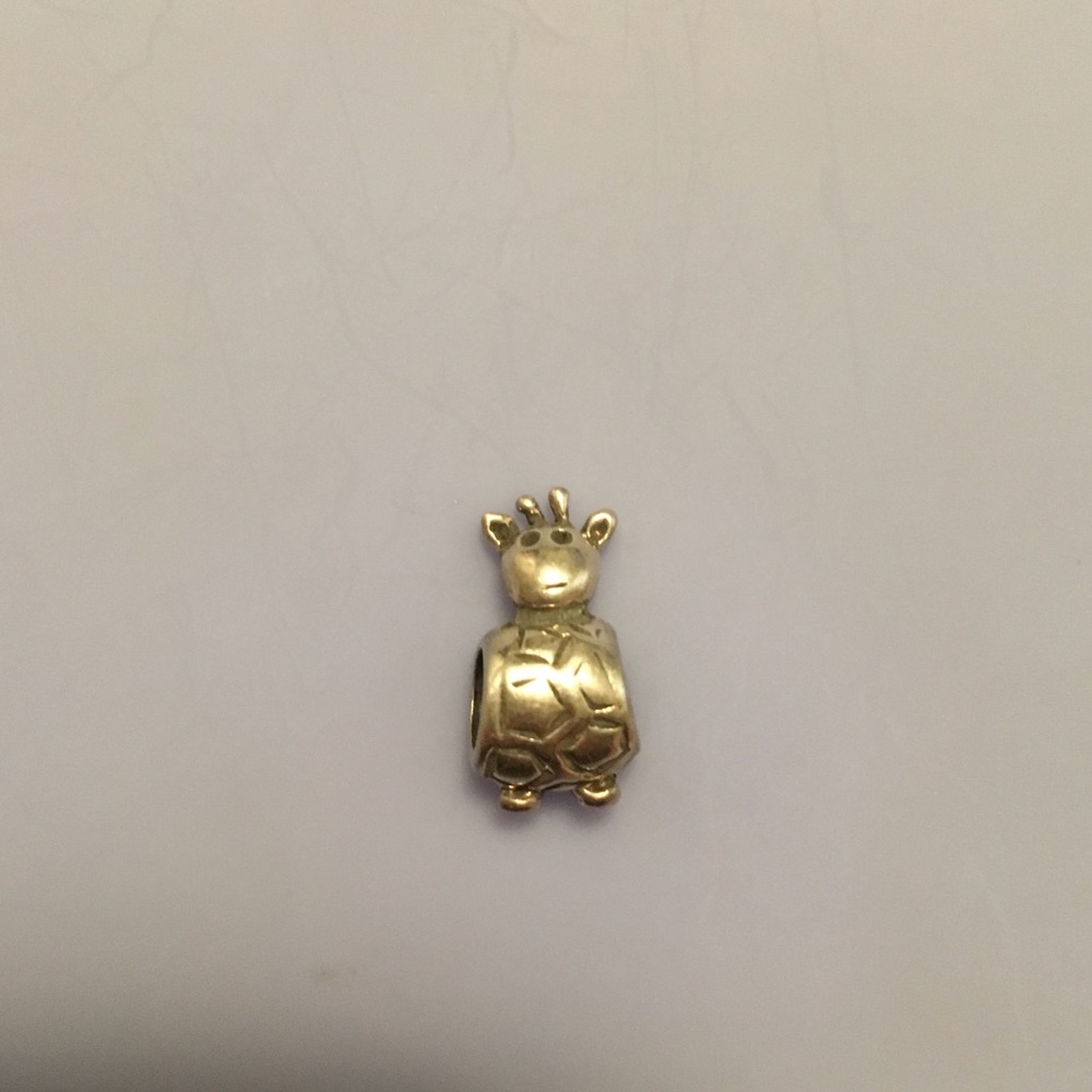 Pandora charm